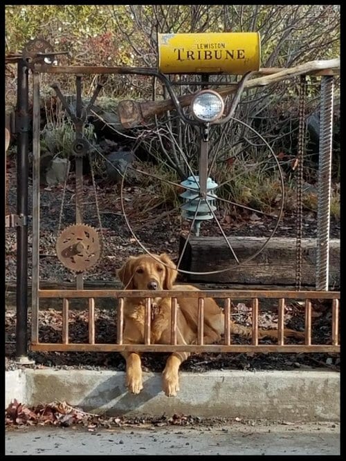 Resized_20171111_125250001