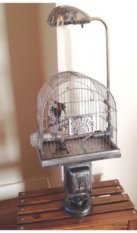 Birdcage+lamp